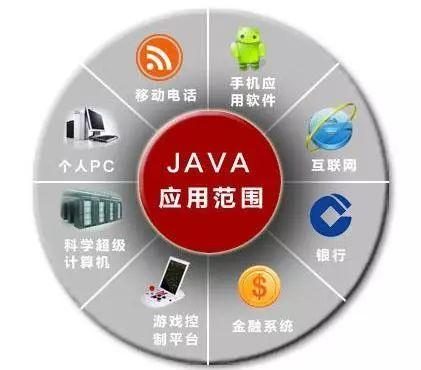 军蚁有望成就特种机器人，行军打仗靠蚂蚁？